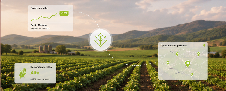 Campo produtivo com indicadores de preço e oportunidades próximas