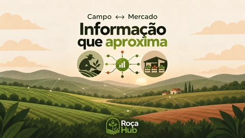 Roça Hub: informação que aproxima campo e mercado
